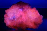 Superb Manganoan Calcite Crystal Cluster - Highly Fluorescent! #347660-1